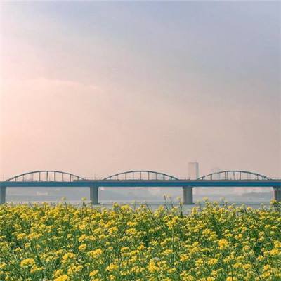 皇家战场吃鸡战无敌版下载